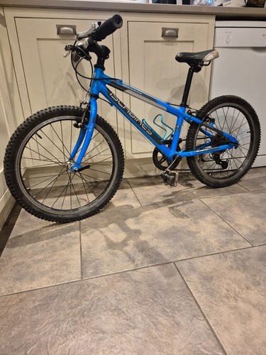 Islabikes bienn large - large,