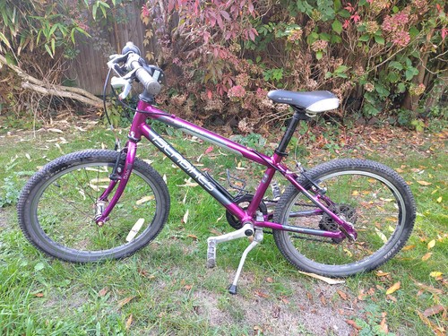 Purple islabike beinn small - 20,