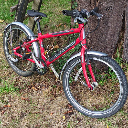 Islabikes kids bike beinn20 - bike, l